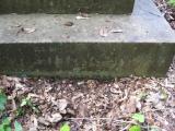 image of grave number 443612